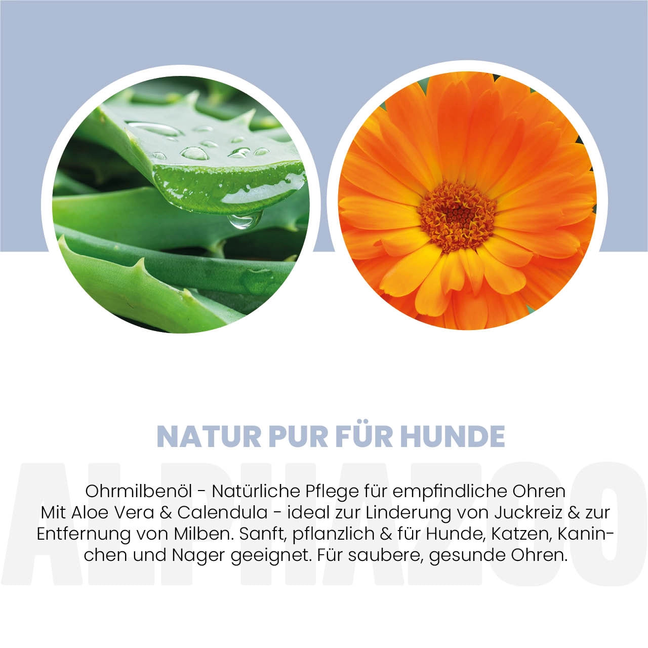 Ohrmilbenmittel für Hunde 