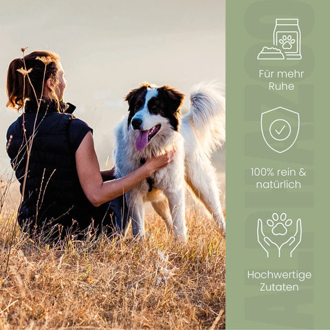 Seelenruhe Futteröl für Hunde