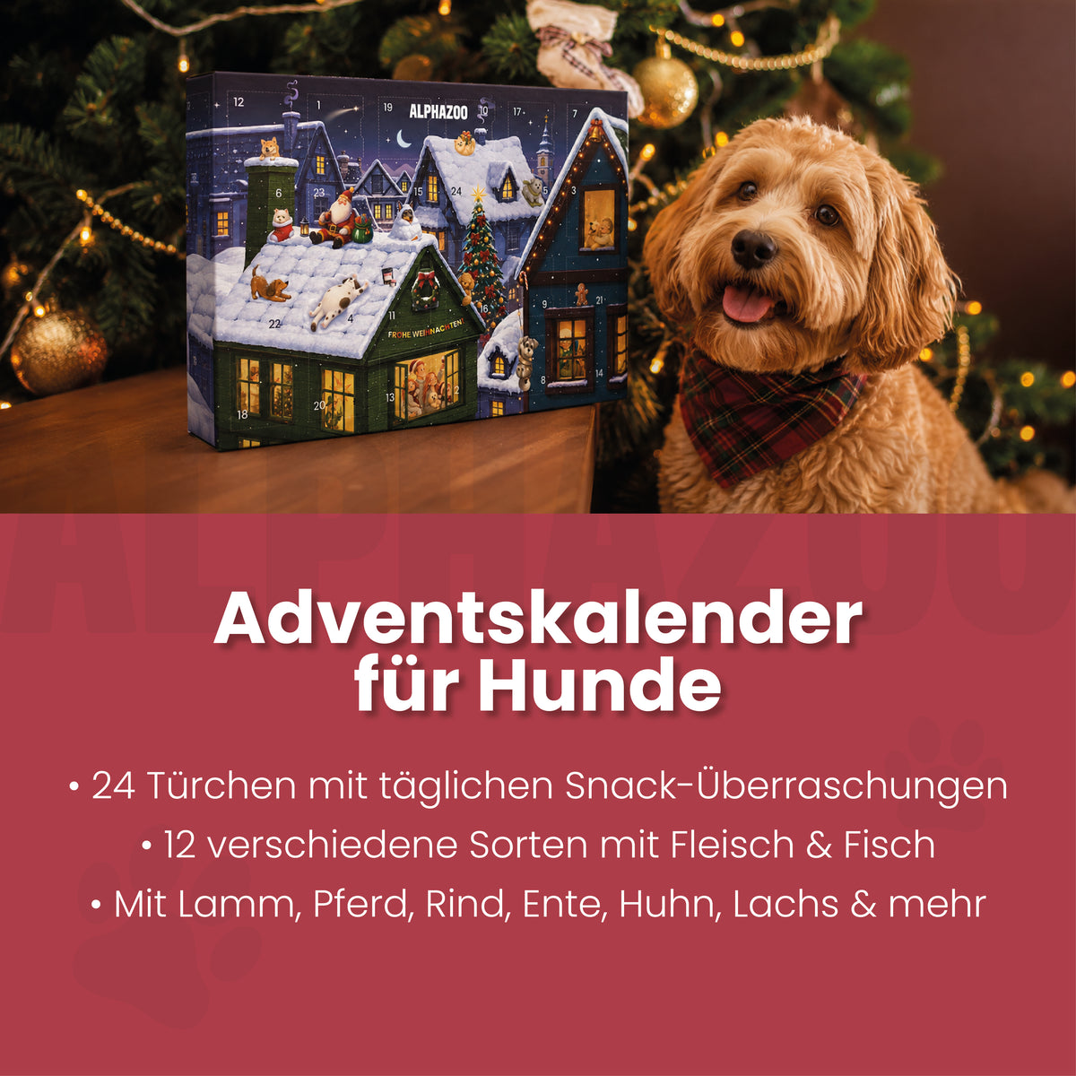 Alphazoo Adventskalender 2026 für Hunde