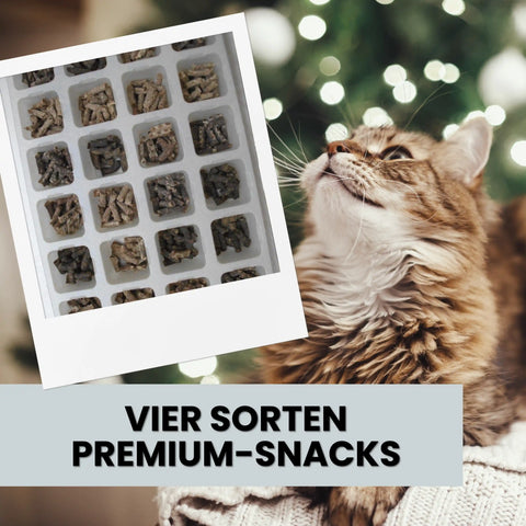 Alphazoo Adventskalender 2025 für Katzen Alphazoo Adventskalender 2025 für Katzen - 24 hochwertige Snacks, gesunde Leckerlis, ideales Weihnachtsgeschenk für Katzenbesitzer, getreidefrei