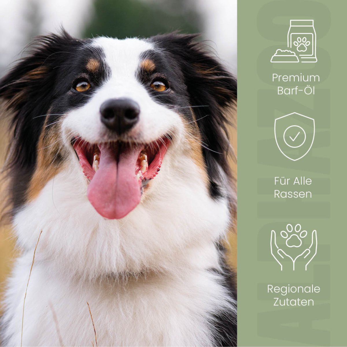 
                      Alpha Barf food oil for dogs & cats I Omega 3 6 9 for barfing Alpha-Barf dog food oil made from high-quality raw materials
                      