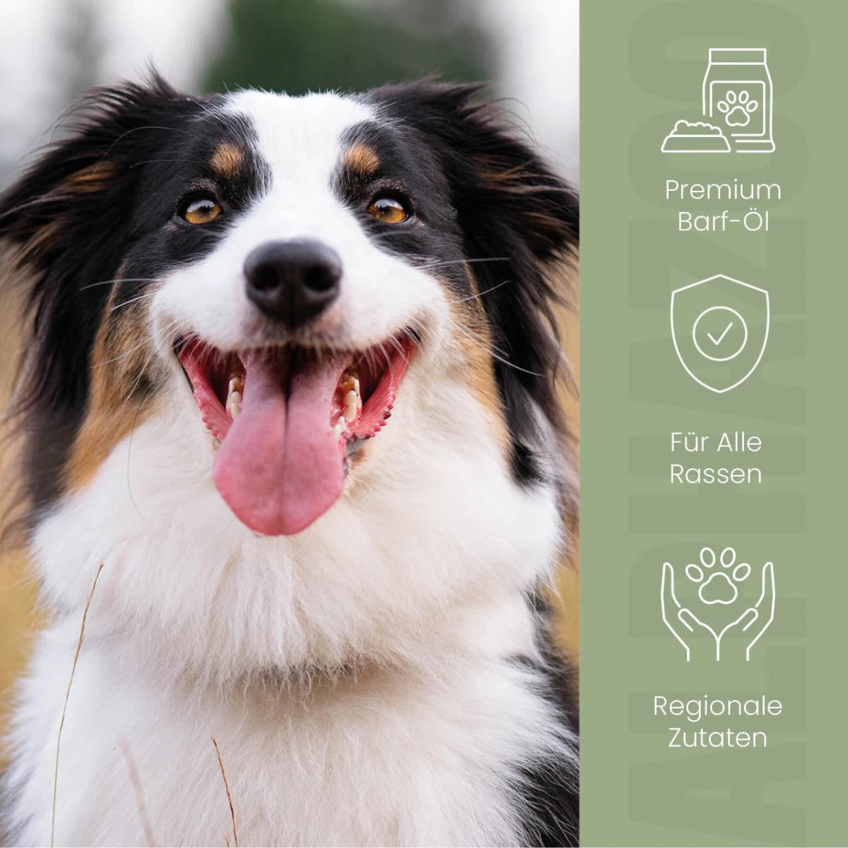 
                      Alpha Barf food oil for dogs & cats I Omega 3 6 9 for barfing Alpha-Barf dog food oil made from high-quality raw materials
                      