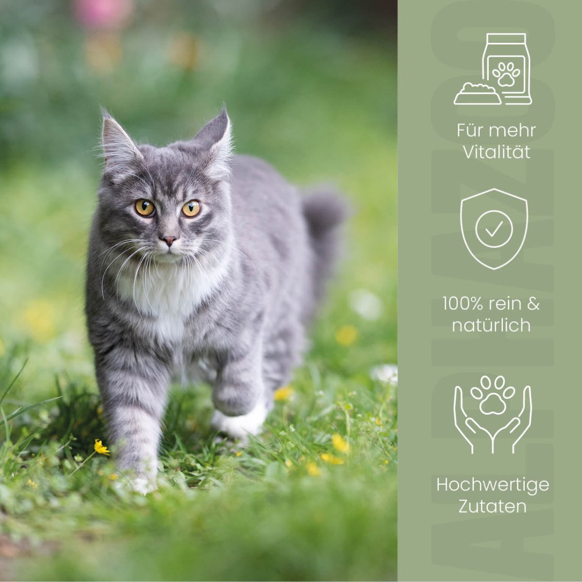 Alpha-Immun food oil for cats Alpha-Immun cat food oil – Cold-pressed, regional & sustainable