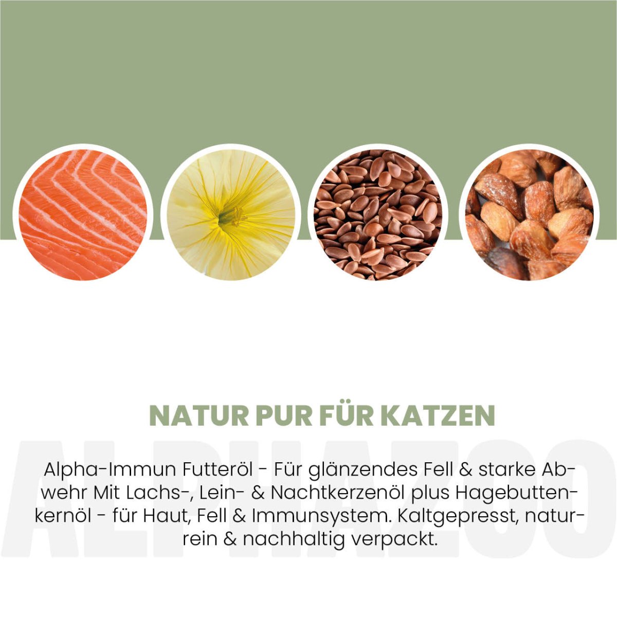 Alpha-Immun Futteröl für Katzen Alpha-Immun Futteröl für Katzen – Kaltgepresst, regional & nachhaltig