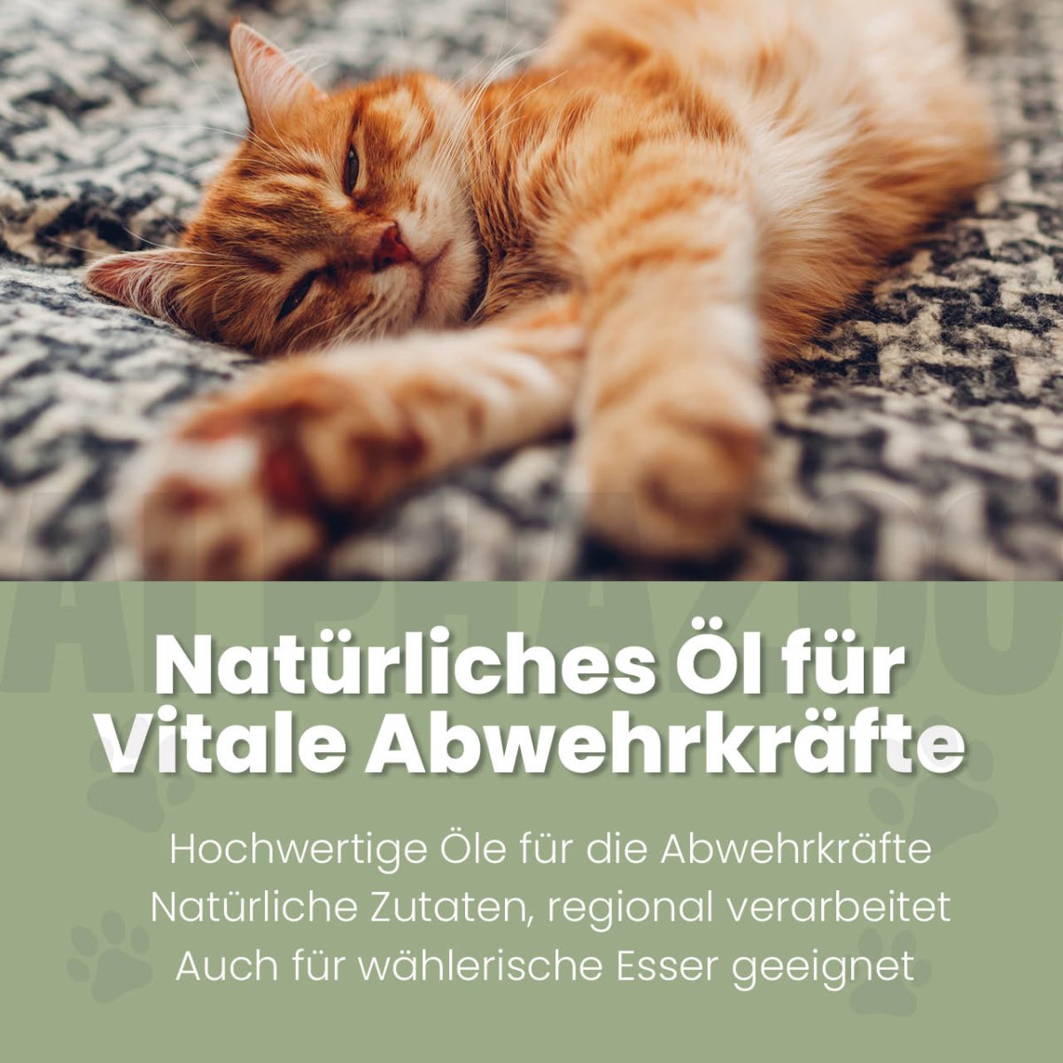 
                      Alpha-Immun Futteröl für Katzen Alpha-Immun Futteröl für Katzen – Kaltgepresst, regional & nachhaltig
                      