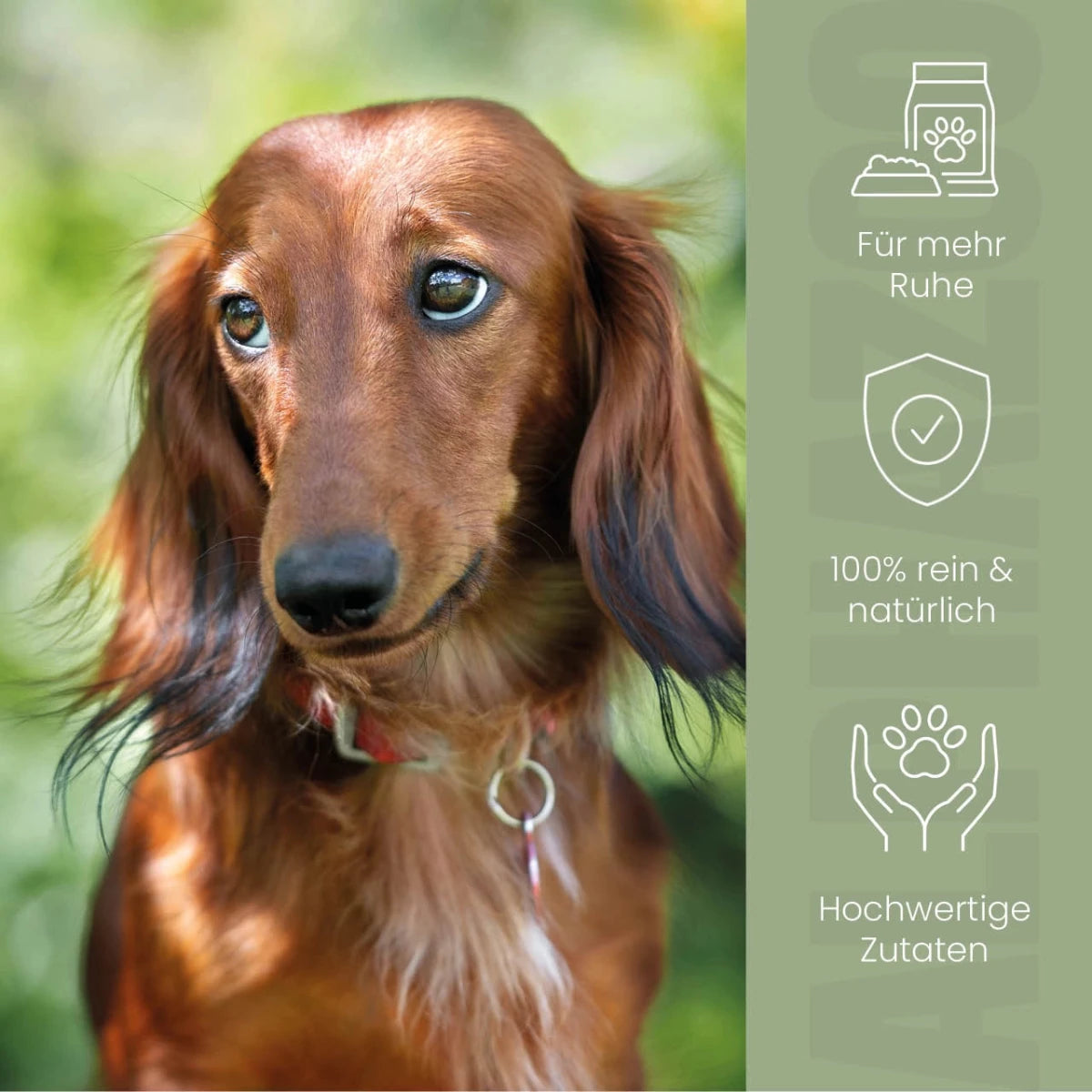 
                      Alpha-Zegg Futteröl für Hunde Alpha-Zegg Futteröl für Hunde: Für Haut, Fell & mehr Vitalität
                      