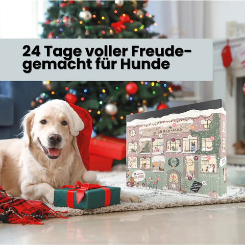 Alphazoo Adventskalender 2025 für Hunde Alphazoo Adventskalender 2025 für Hunde - 24 hochwertige Snacks, gesunde Leckerlis, ideales Weihnachtsgeschenk für Hundebesitzer, getreidefrei