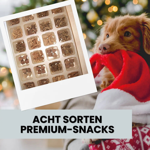 Alphazoo Adventskalender 2025 für Hunde Alphazoo Adventskalender 2025 für Hunde - 24 hochwertige Snacks, gesunde Leckerlis, ideales Weihnachtsgeschenk für Hundebesitzer, getreidefrei