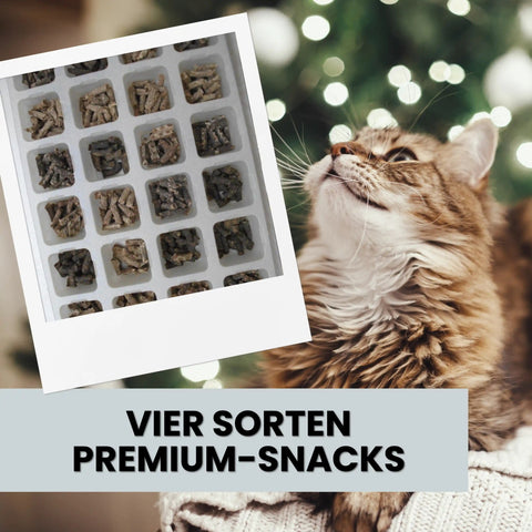 Alphazoo Adventskalender 2025 für Katzen Alphazoo Adventskalender 2025 für Katzen - 24 hochwertige Snacks, gesunde Leckerlis, ideales Weihnachtsgeschenk für Katzenbesitzer