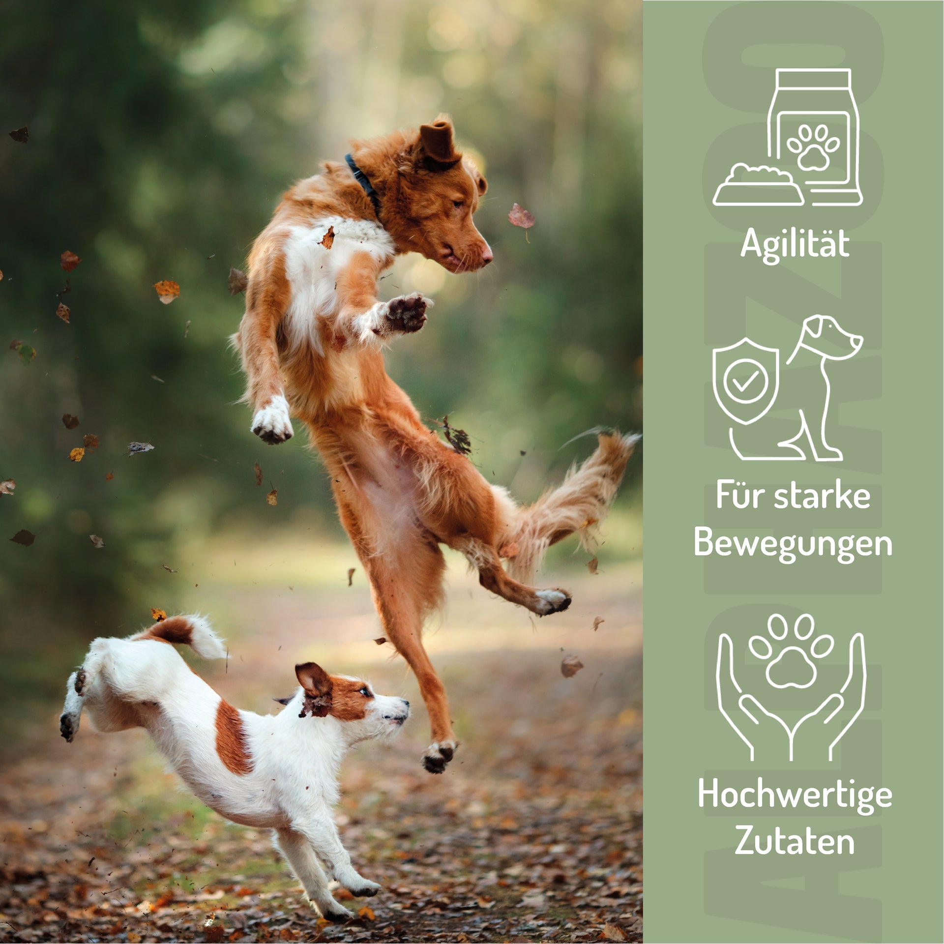 Hochwertige Hundesnacks für Gelenke und Agilität