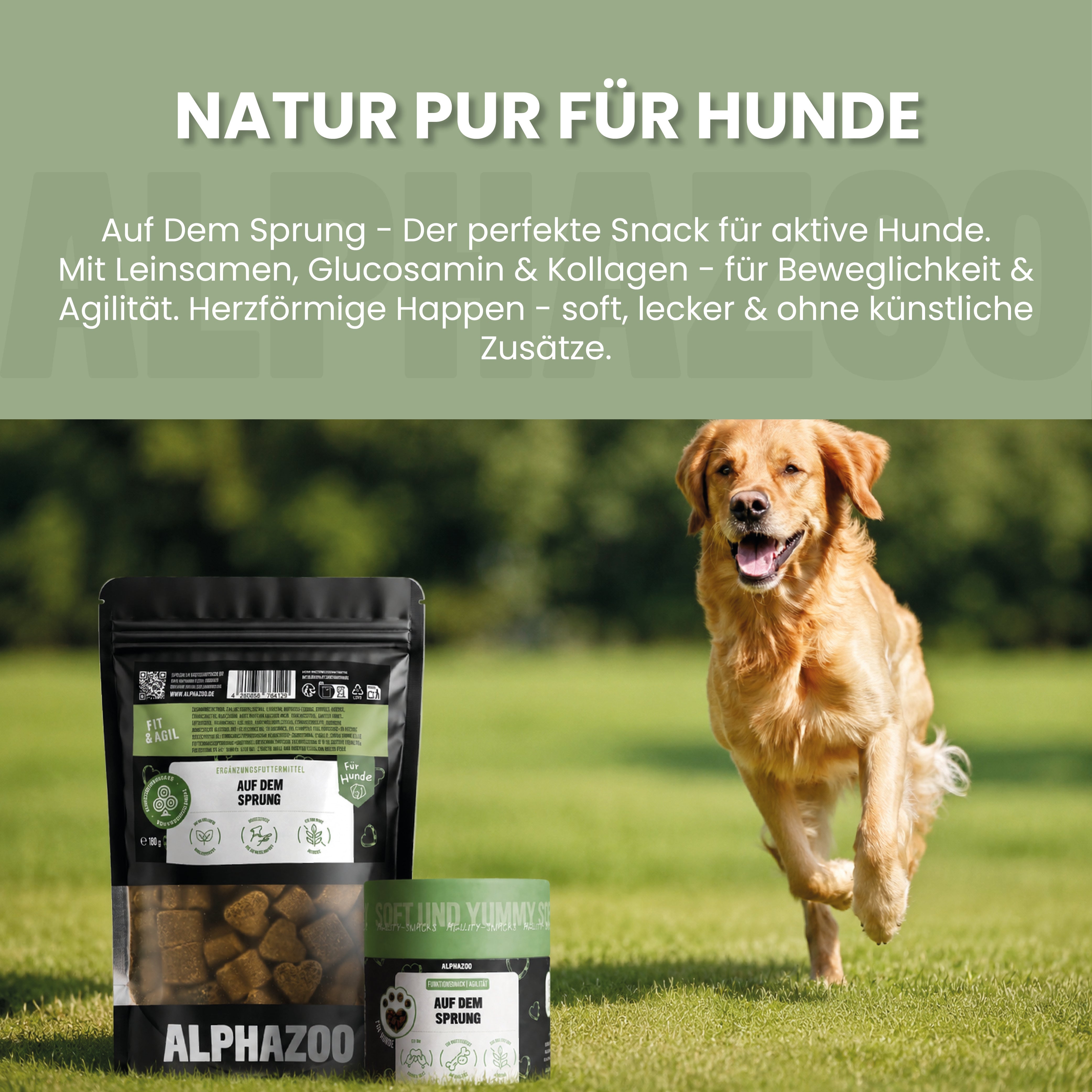 Auf Dem Sprung Auf Dem Sprung – Funktionssnack für Gelenke & Beweglichkeit