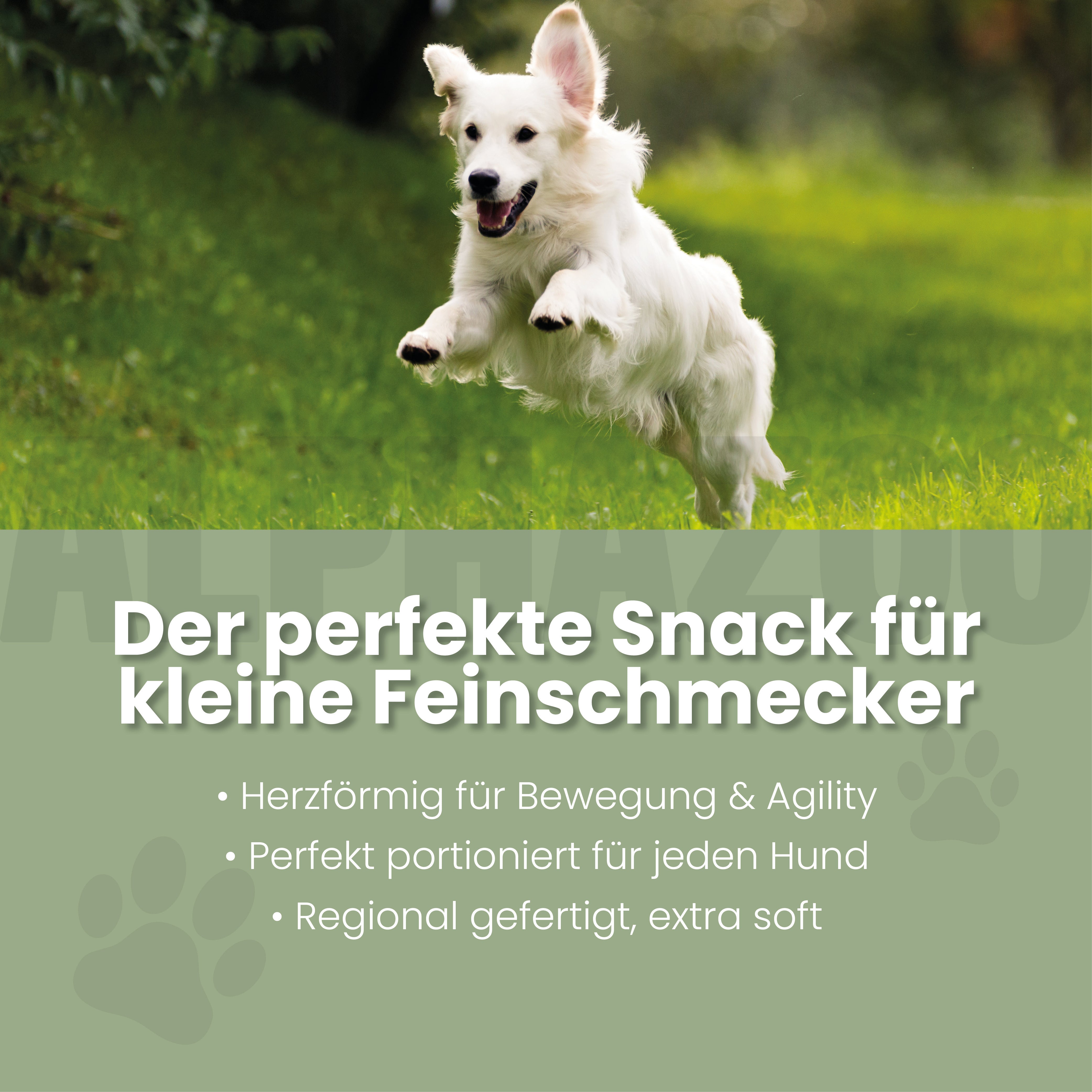 Auf Dem Sprung Auf Dem Sprung – Funktionssnack für Gelenke & Beweglichkeit