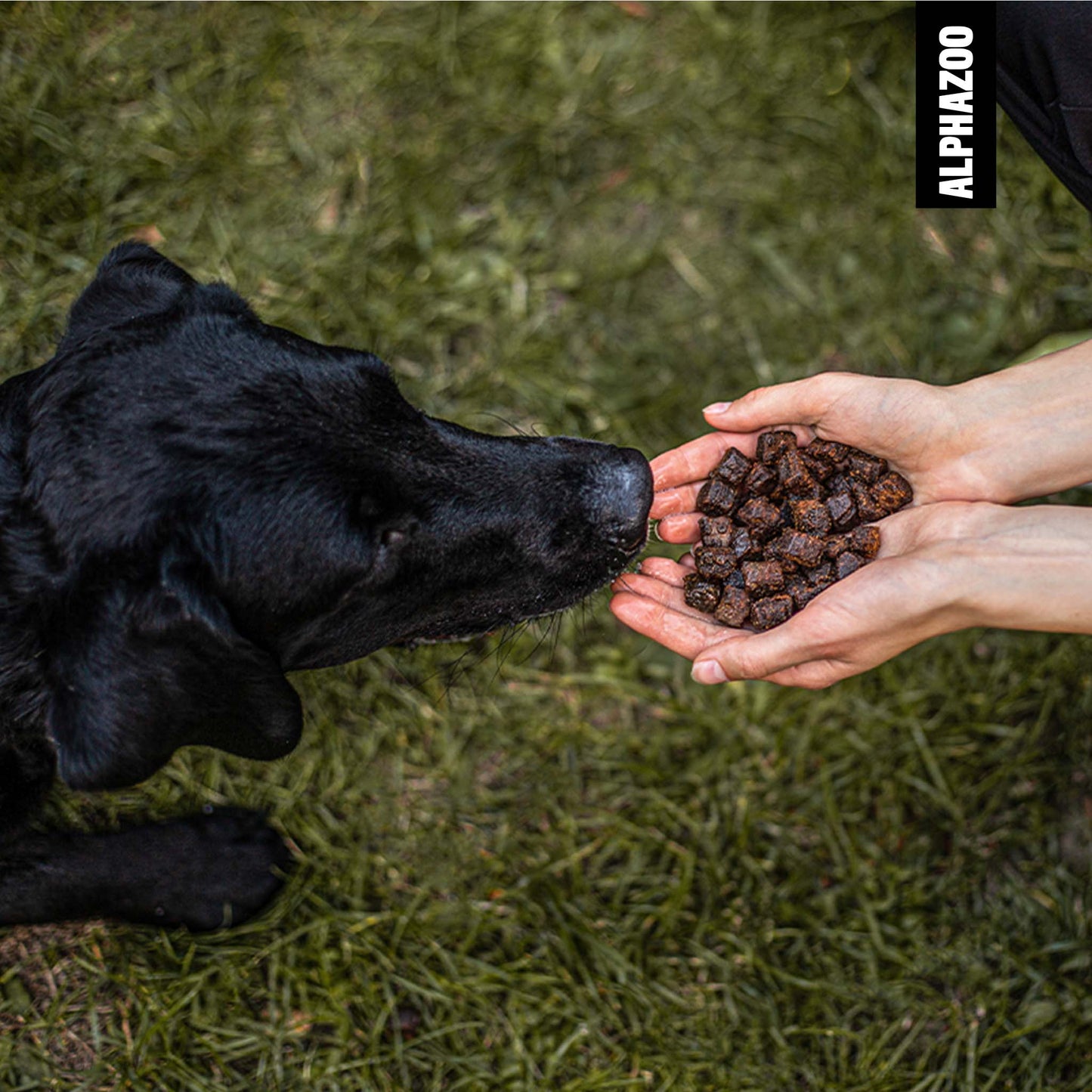 Bites of beef 200g for dogs I Large dog treats I Natural & grain-free