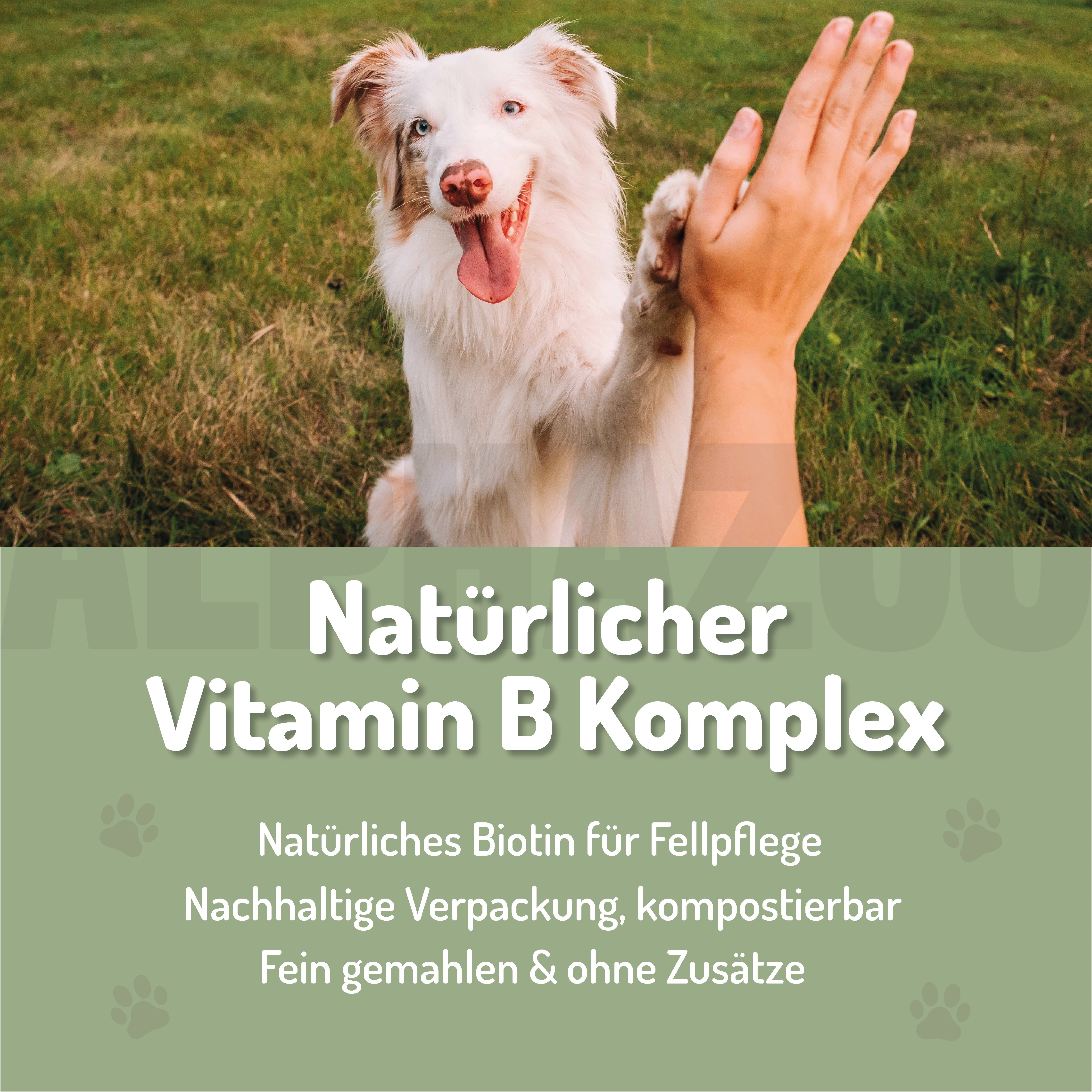 Bierhefe Pulver Bierhefe für Hunde & Katzen – Biotin & Vitamin B-Komplex