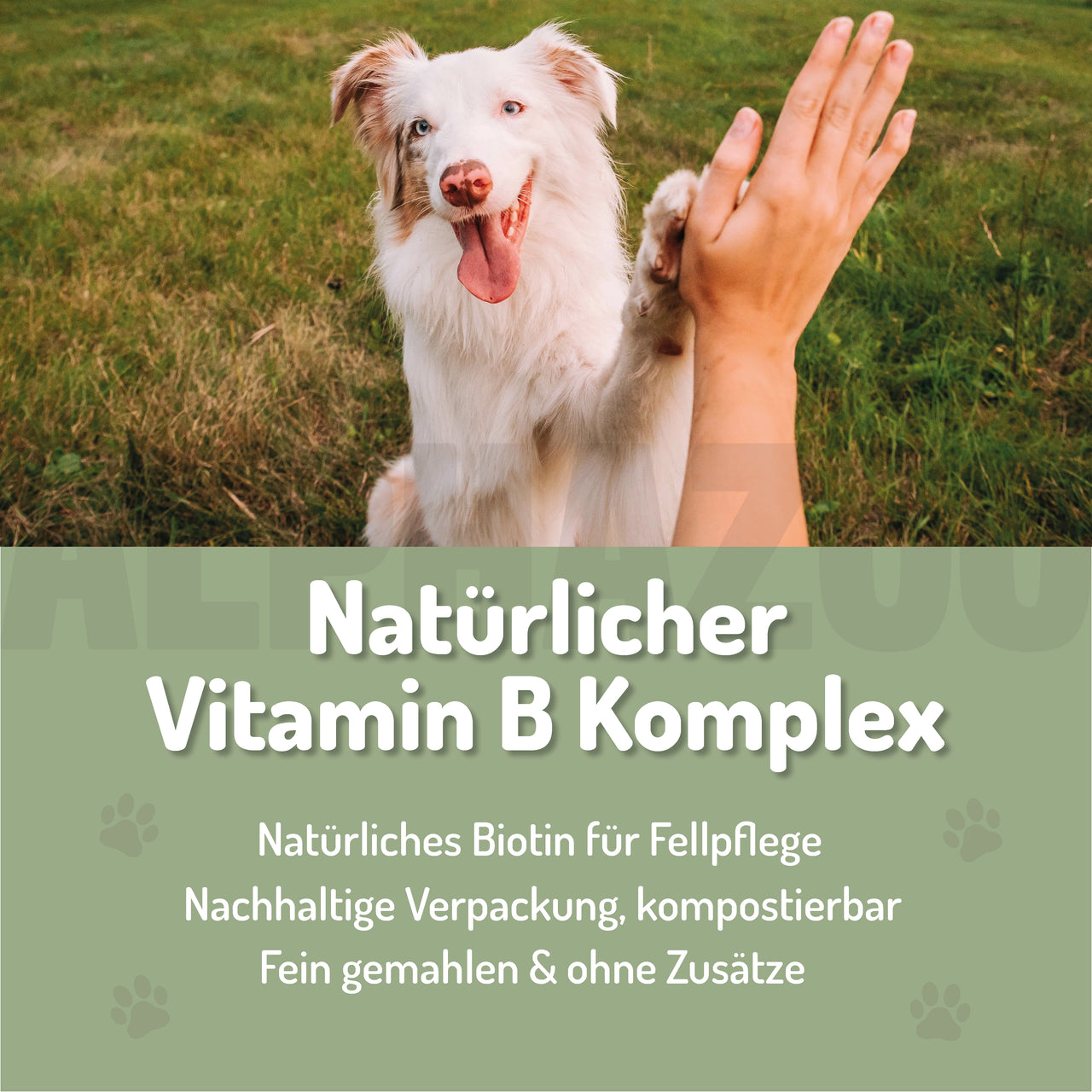 
                      Bierhefe Pulver Bierhefe für Hunde & Katzen – Biotin & Vitamin B-Komplex
                      