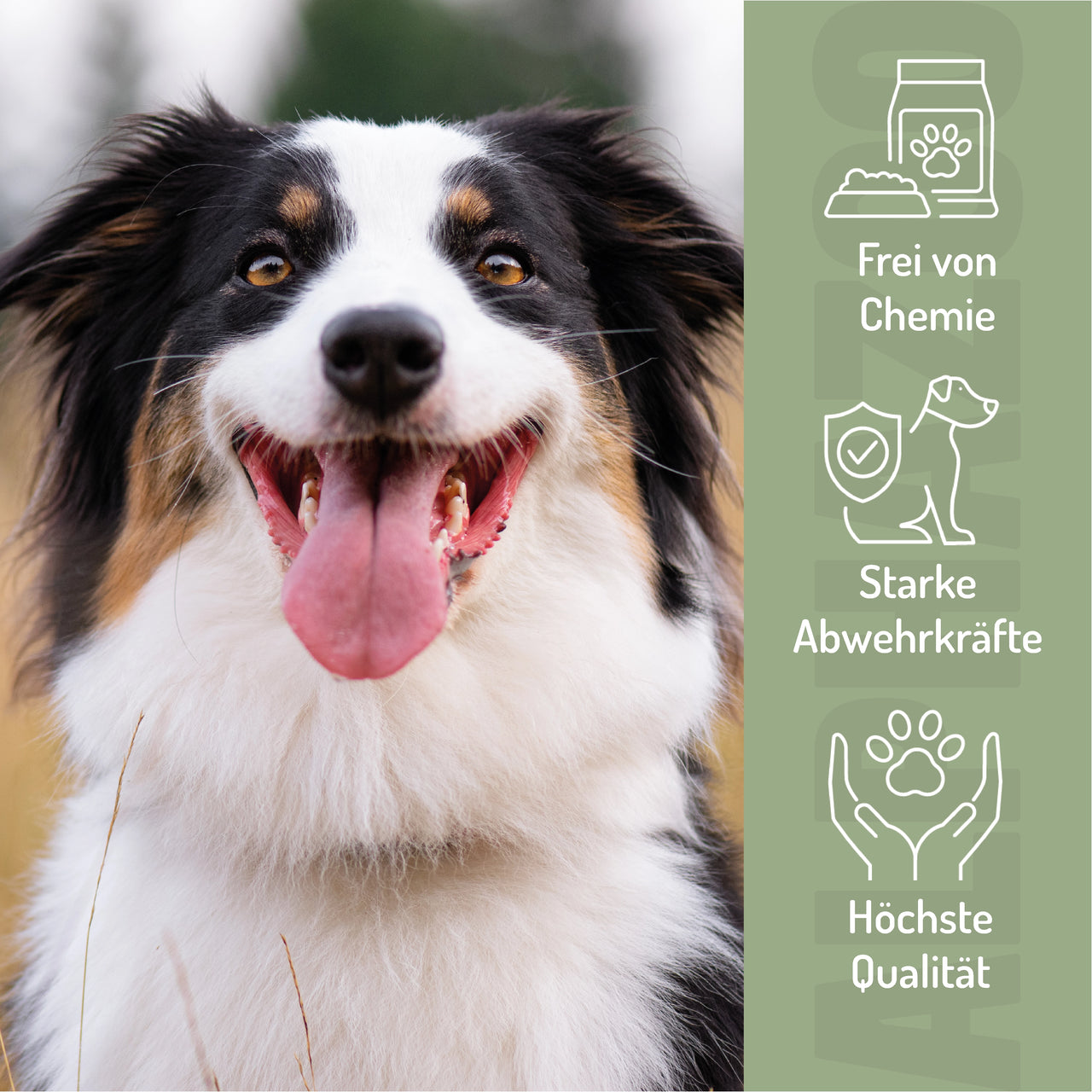 
                      Bierhefe Tabletten Bierhefe Tabletten – Biotin & B-Vitamine für Hunde & Katzen
                      