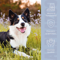 Brandlöscher Anti Juckreiz Spray für Hunde