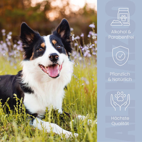 Brandlöscher Anti Juckreiz Spray für Hunde Brandlöscher Juckreiz-Spray – sanfte Pflege für empfindliche Haut