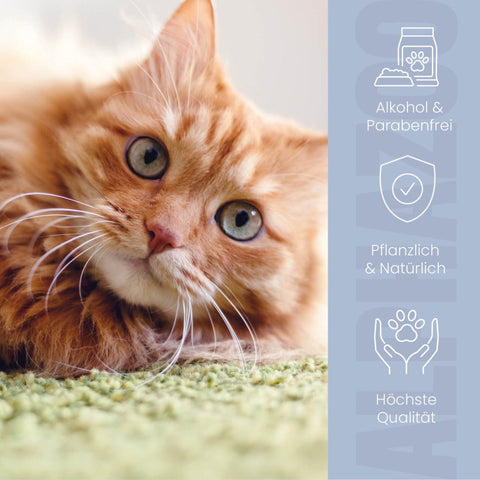 Fire extinguisher anti-itch spray for cats Brandlöscher Anti-Itch Spray with Chamomile – gentle care for cats with skin irritations