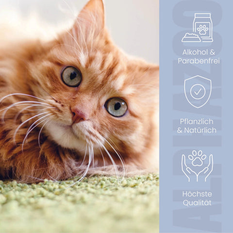 Fire extinguisher anti-itch spray for cats