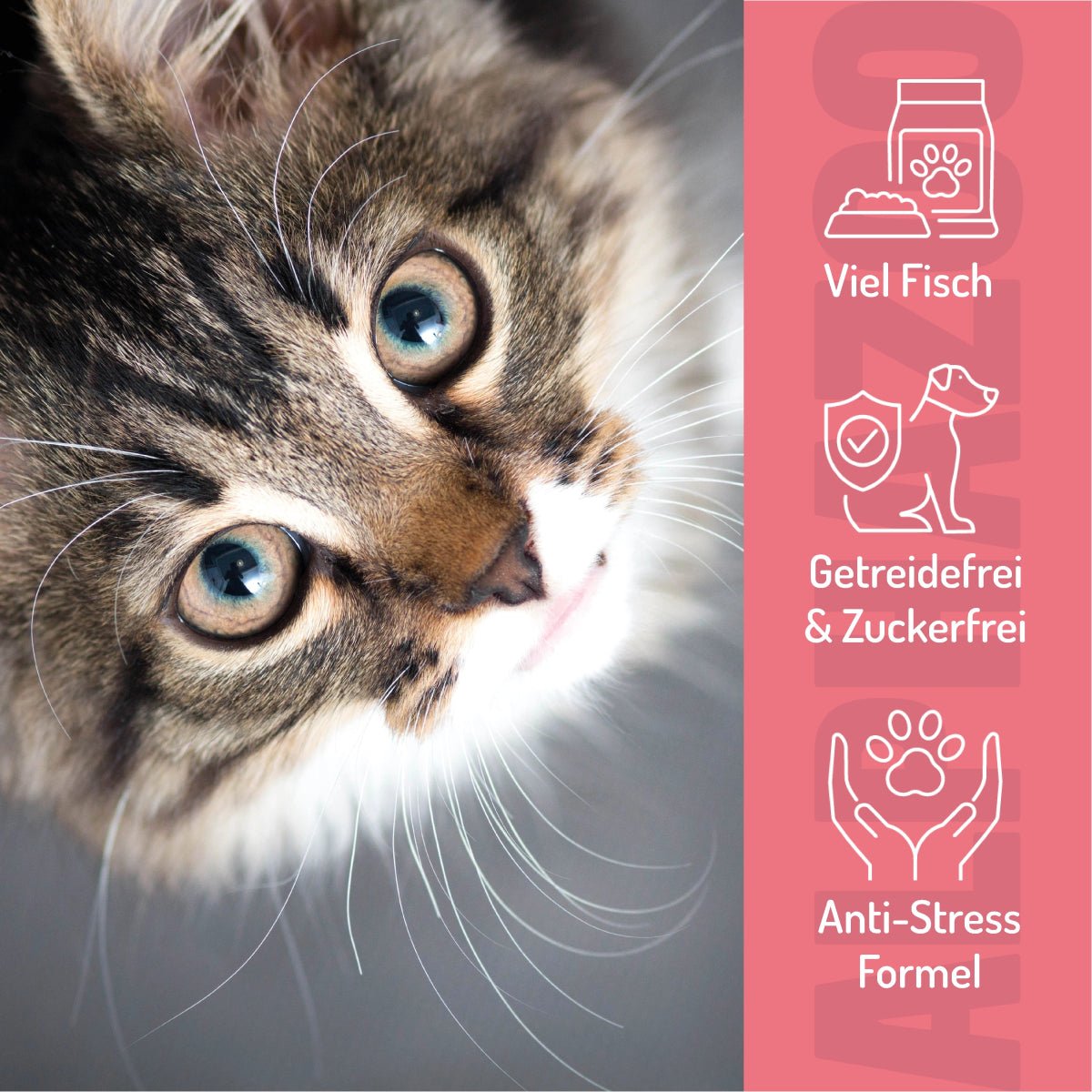 
                      Butter at Die Fische! 65 g Let's get down to brass tacks – Soft snack with salmon & trout for cats
                      