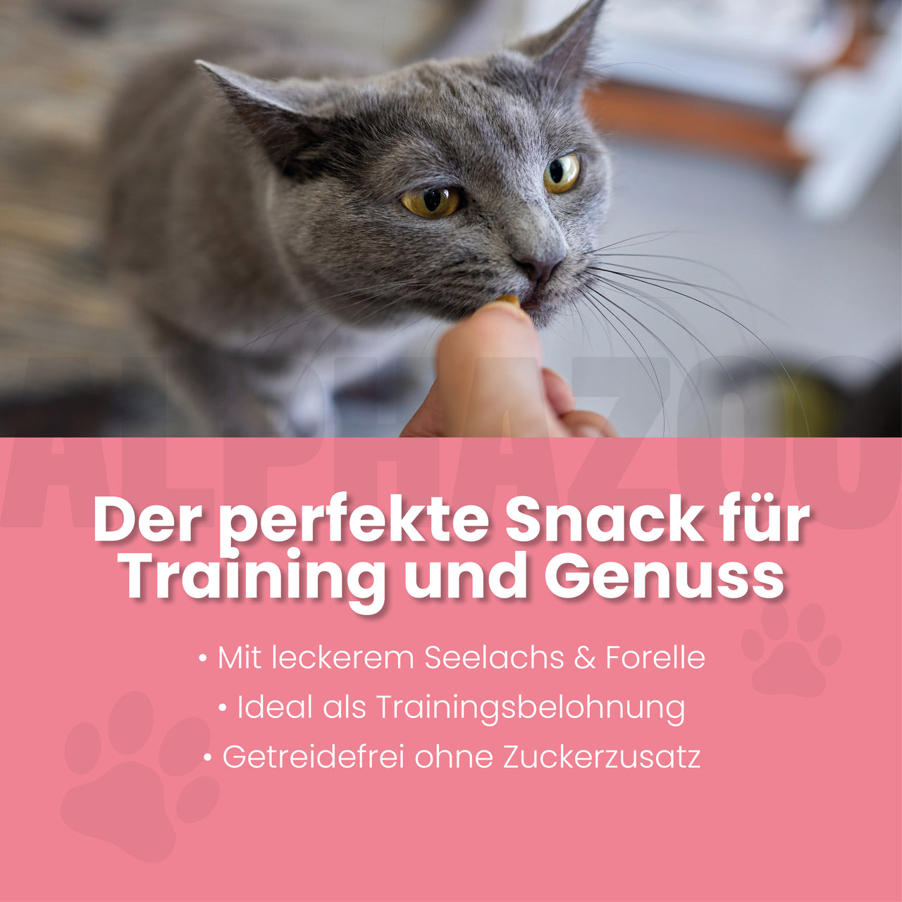 
                      Butter Bei Die Fische! Butter Bei Die Fische – Fischsnacks für Katzen mit intensiver Geschmacksnote
                      