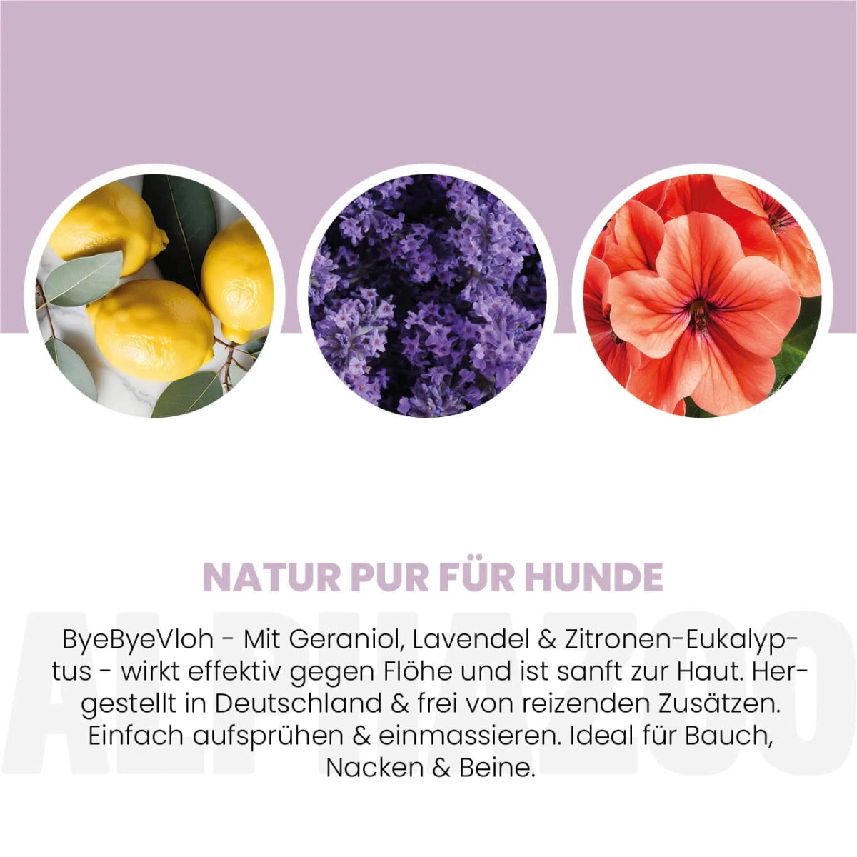 
                      ByeByeVloh Spot-On für Hunde ByeByeVloh Spot-On für Hunde 100 ml – Effektiver Schutz gegen Flöhe 
                      