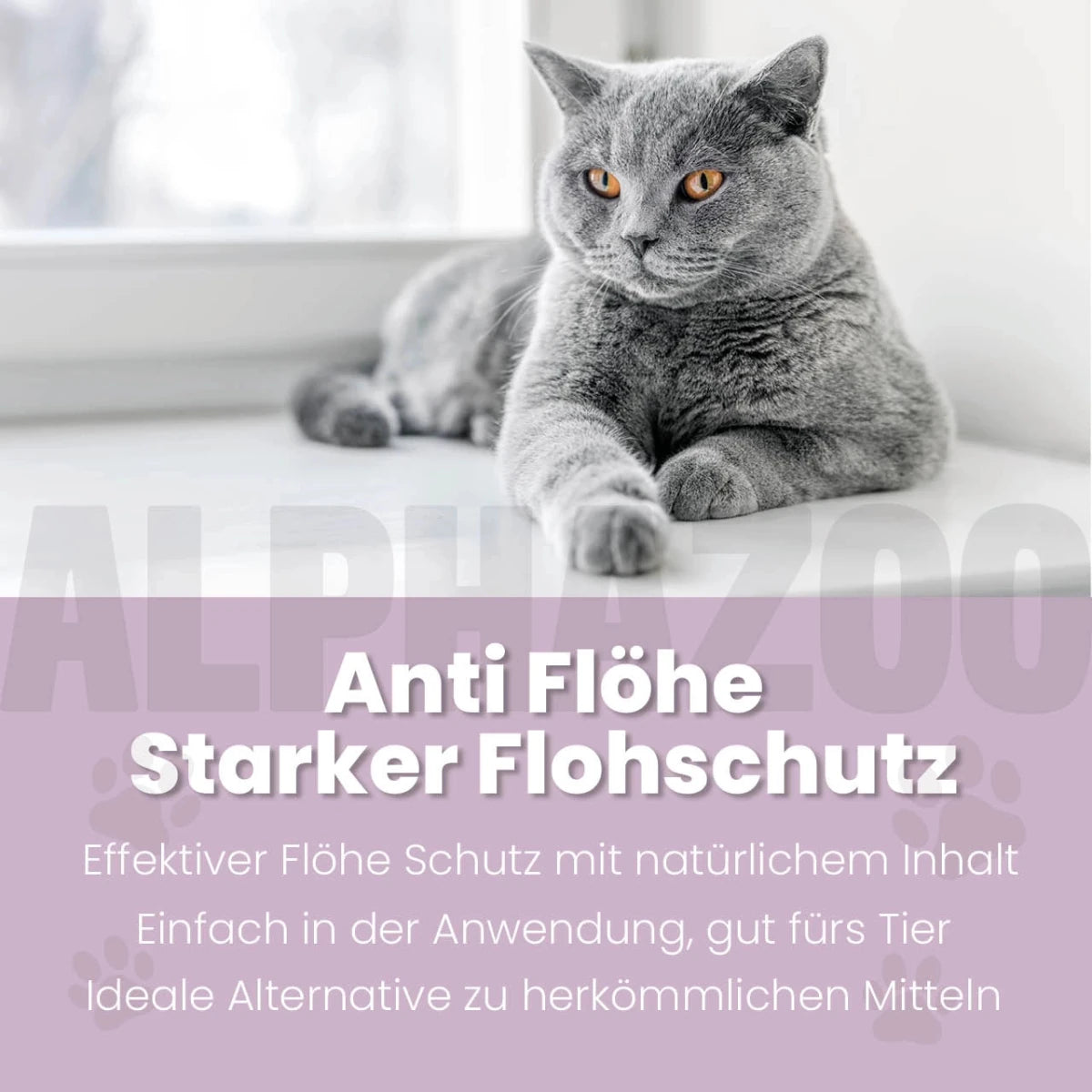 
                      ByeByeVloh Spot-On für Katze ByeByeVloh Spot-On für Katzen – natürlicher Schutz gegen Flöhe
                      