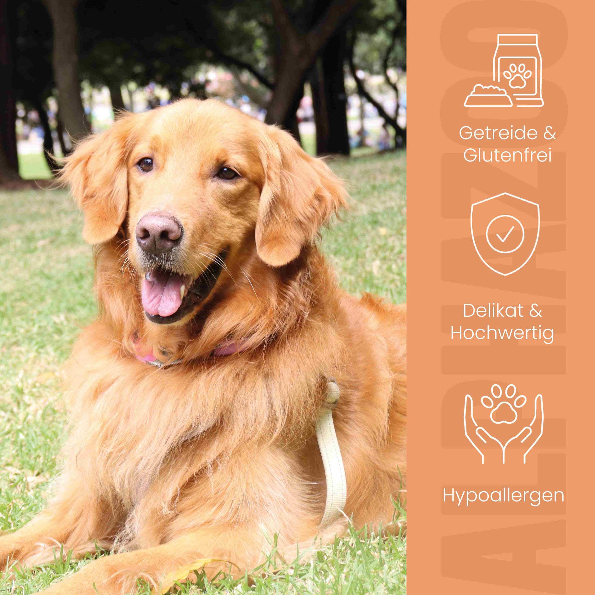 Monoprotein Pferd Nassfutter für Hunde