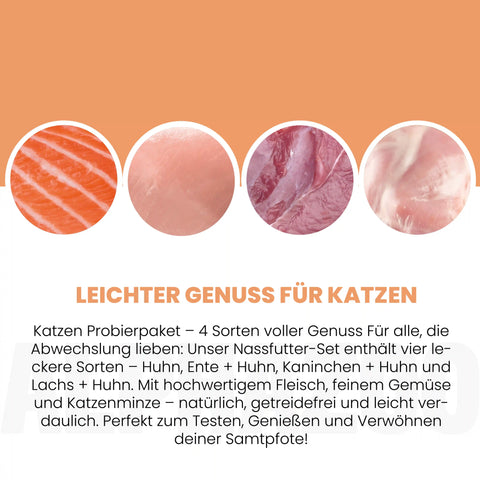 Probierschmaus Katze 4 x 200g alphazoo Probierschmaus Nassfutter für Katzen - 4 leckere Sorten