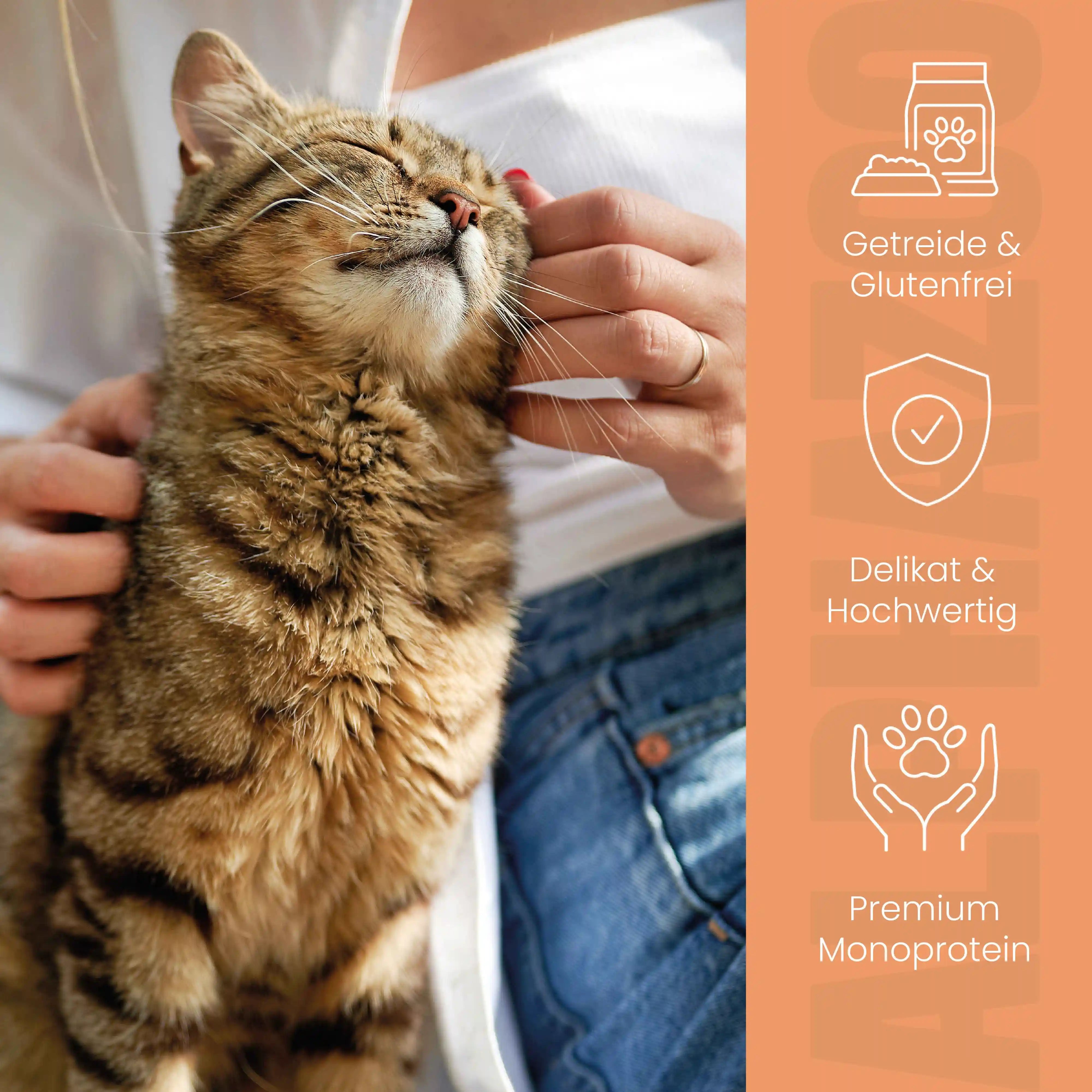 Probierschmaus Katze 4 x 200g alphazoo Probierschmaus Nassfutter für Katzen - 4 leckere Sorten