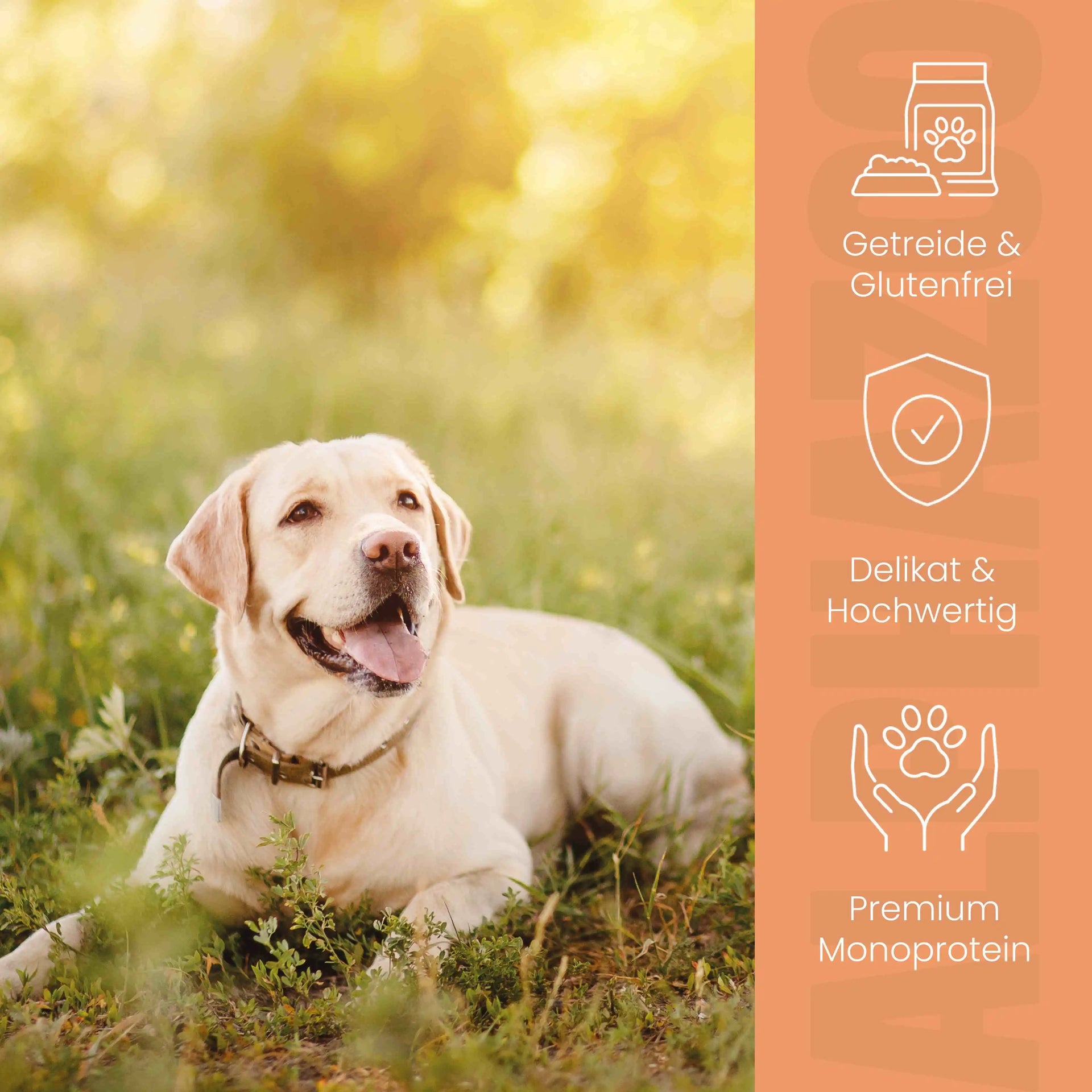 Monoprotein Huhn Nassfutter für Hunde