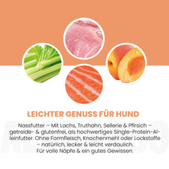 Lachs + Truthahn Nassfutter für Adult Hunde