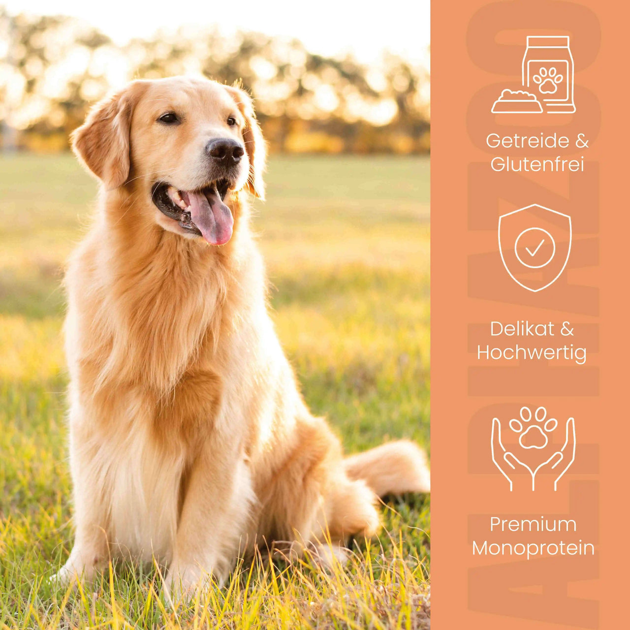 
                      Wild + Rind Nassfutter für Adult Hunde alphazoo Nassfutter Wild + Rind - Hundefutter ohne Getreide
                      