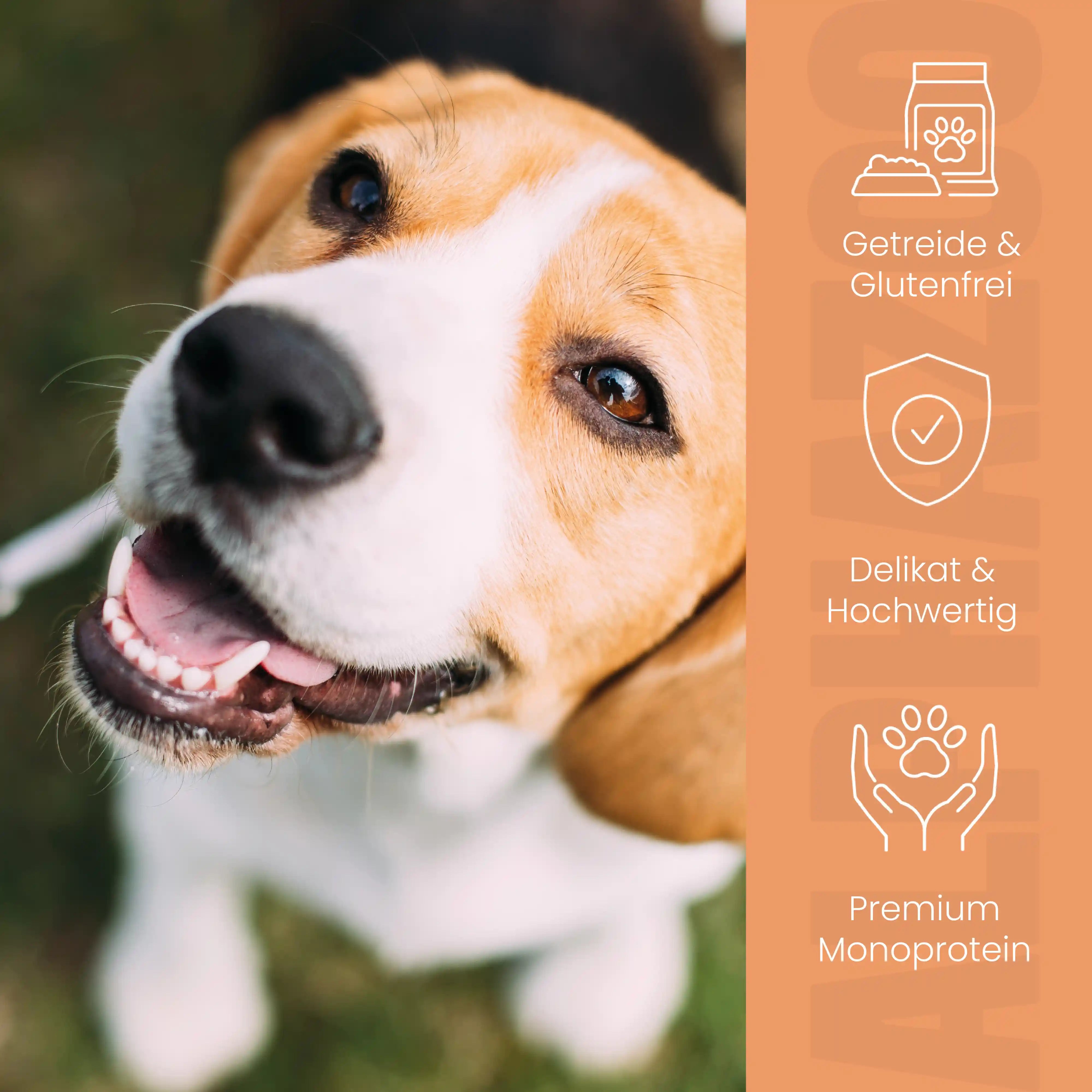 Probierschmaus Hund alphazoo Probierschmaus Nassfutter für Hunde - Probierpaket 6er