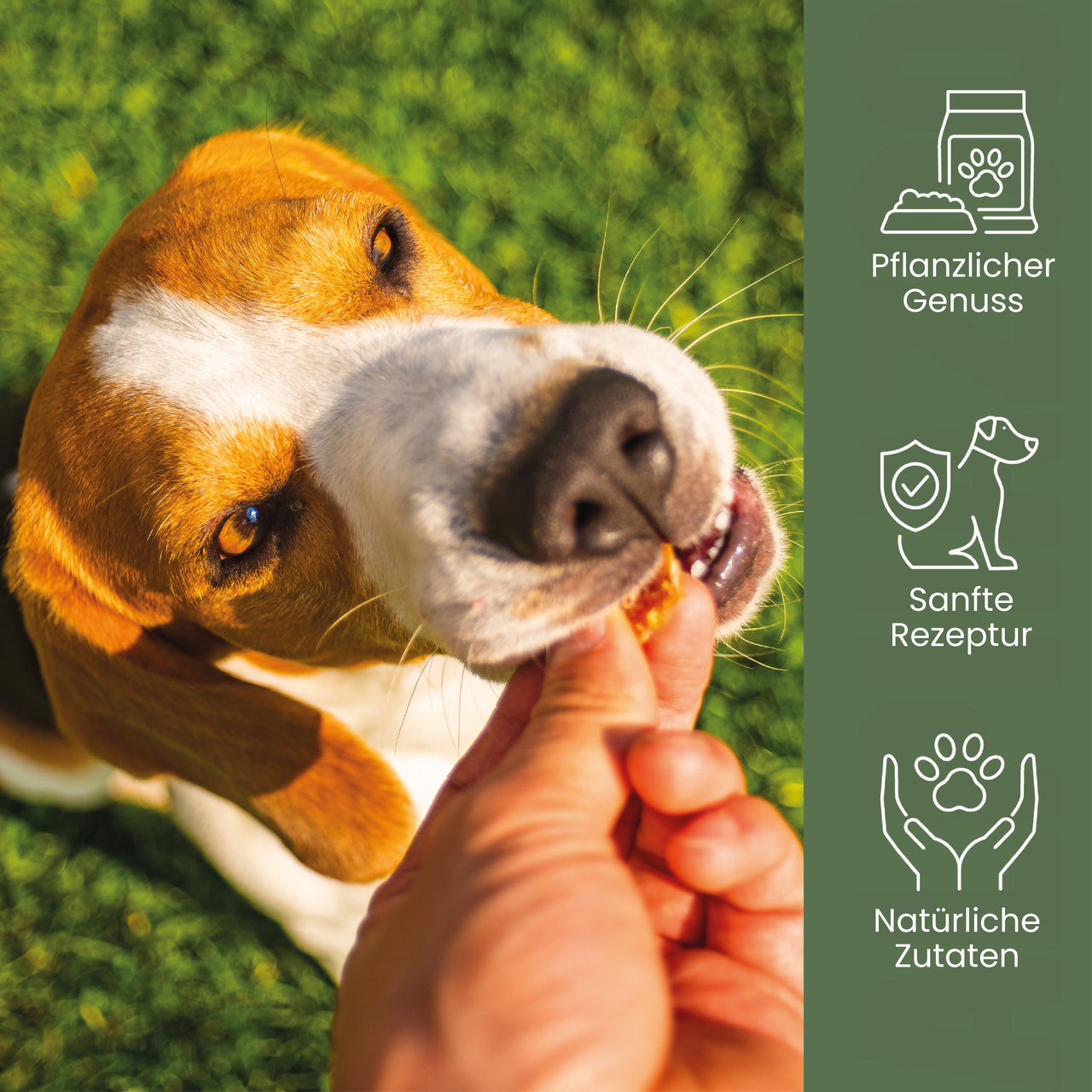 
                      Couchpotatoes Couchpotatoes - vegetarischer Snack für Hunde | alphazoo
                      
