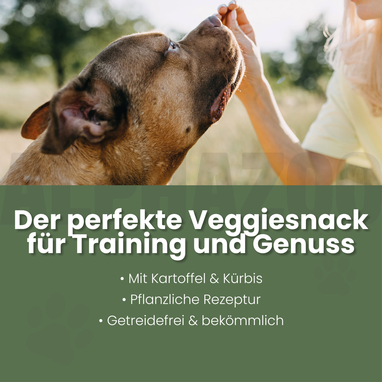 
                      Couchpotatoes Couchpotatoes - vegetarischer Snack für Hunde | alphazoo
                      