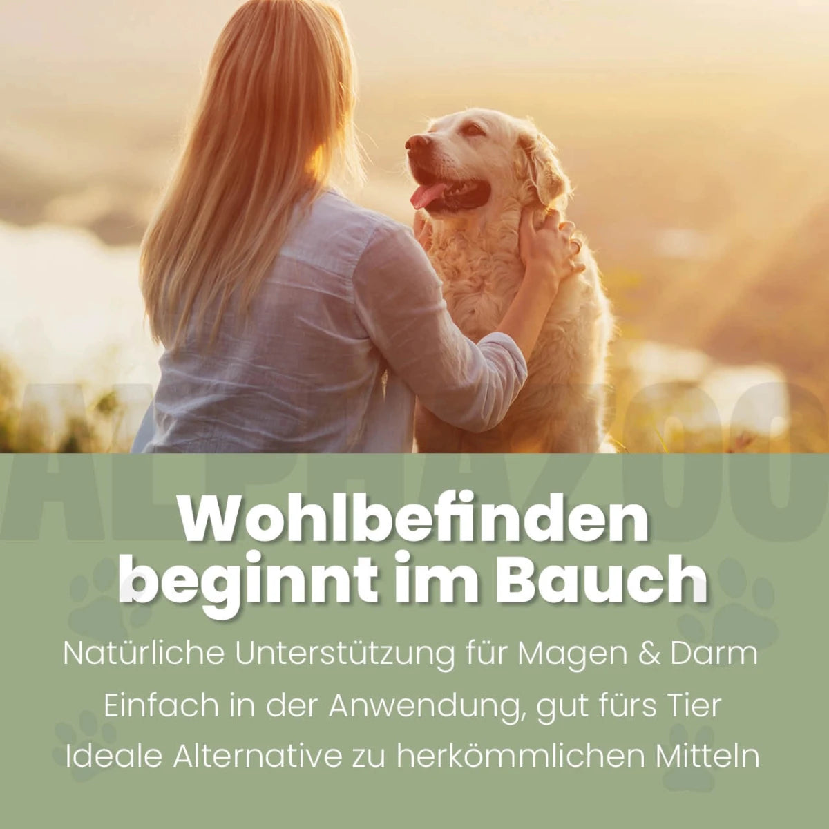Darmonie Liquid für Hunde Darmonie Liquid für Hunde – Natürliche Harmonie für Magen und Darm