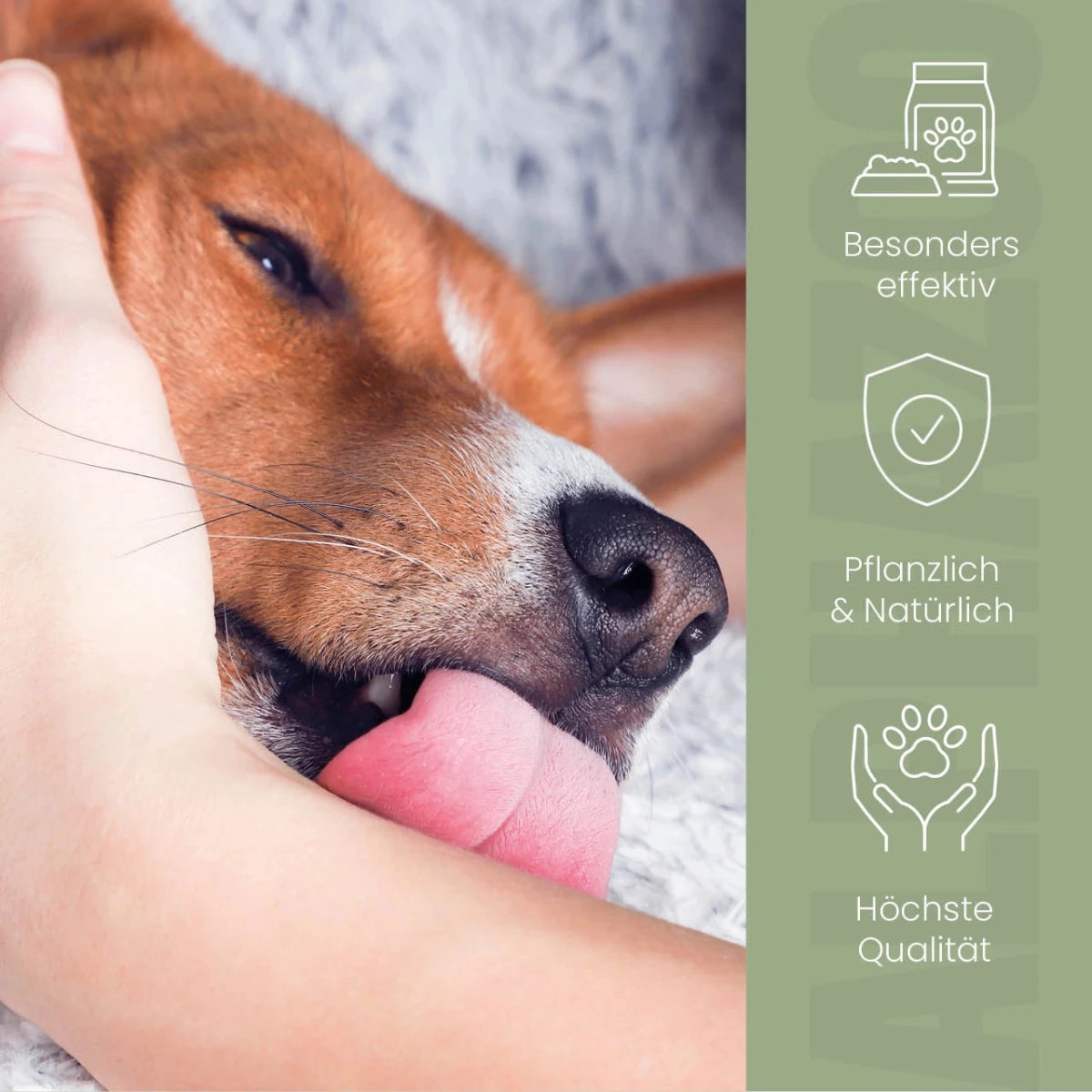 Darmonie Liquid für Hunde Darmonie Liquid für Hunde – Natürliche Harmonie für Magen und Darm