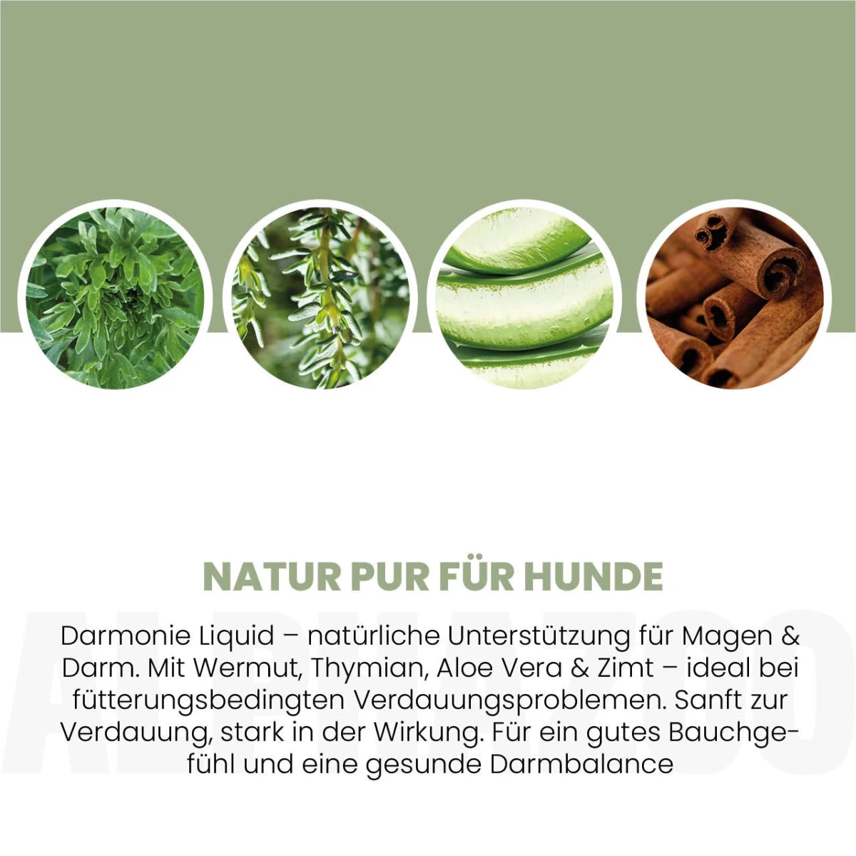 
                      Darmonie Liquid für Hunde Darmonie Liquid für Hunde – Natürliche Harmonie für Magen und Darm
                      