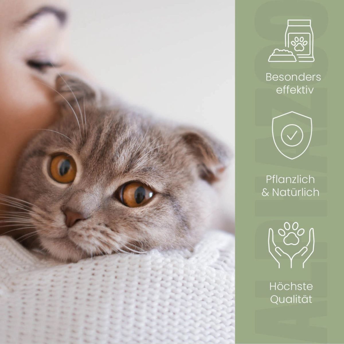 Darmonie Liquid für Katzen 100 ml