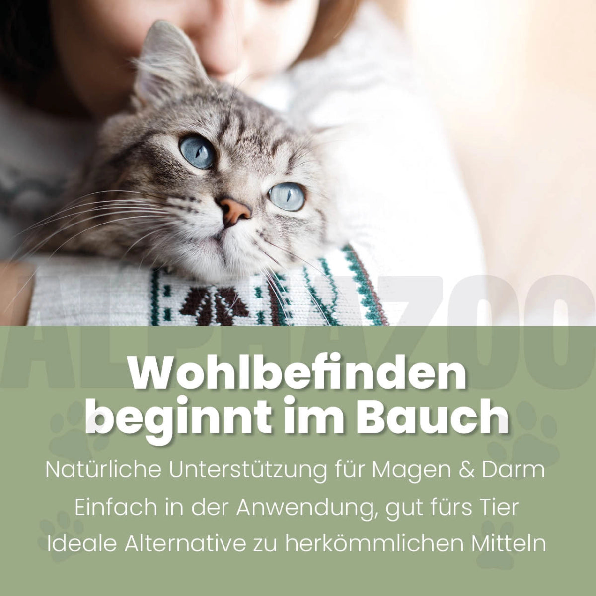 Darmonie Liquid für Katzen 100 ml