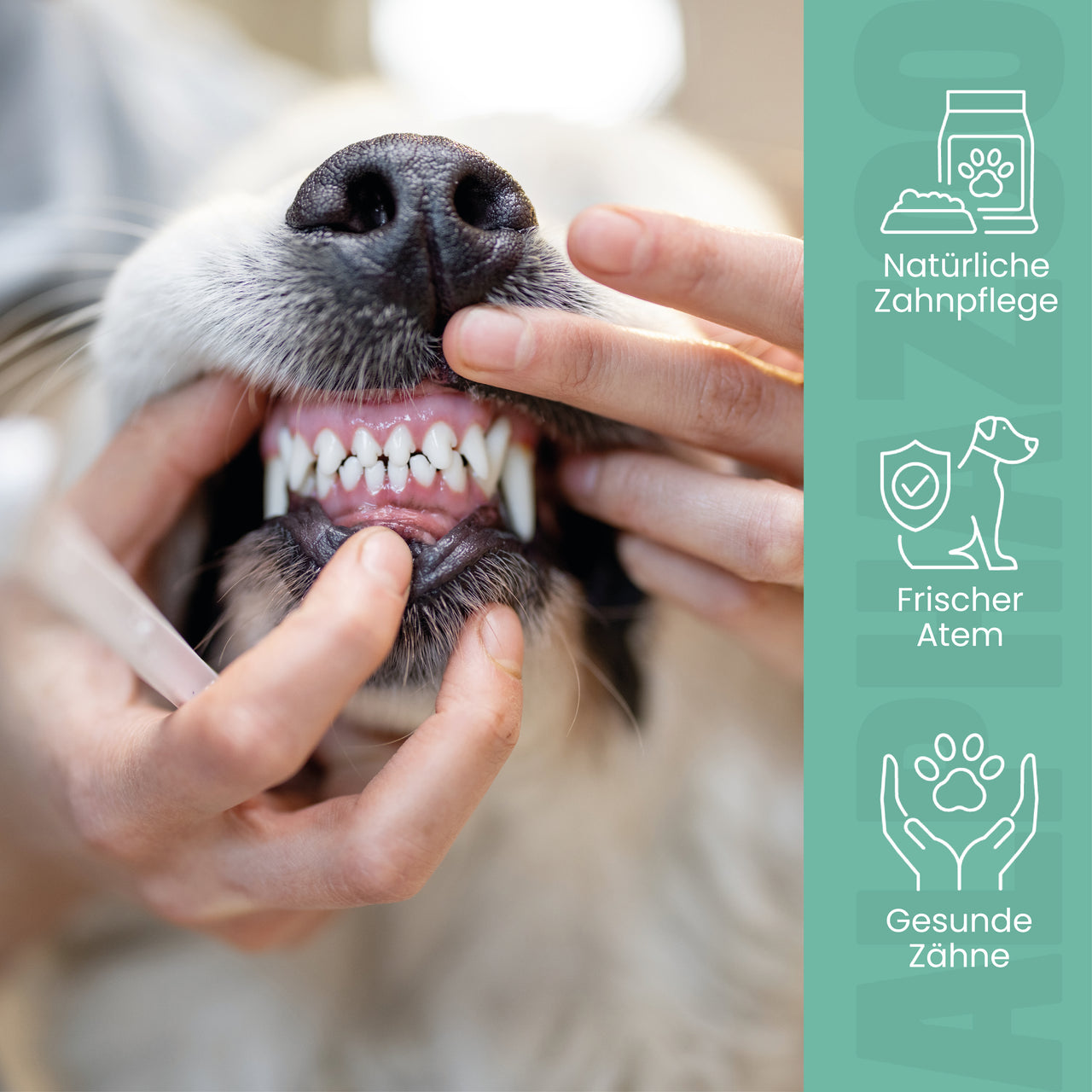 
                      Zähne Zeigen Dentalstick Zahnpflege-Snack für Hunde - Zähne Zeigen | alphazoo
                      