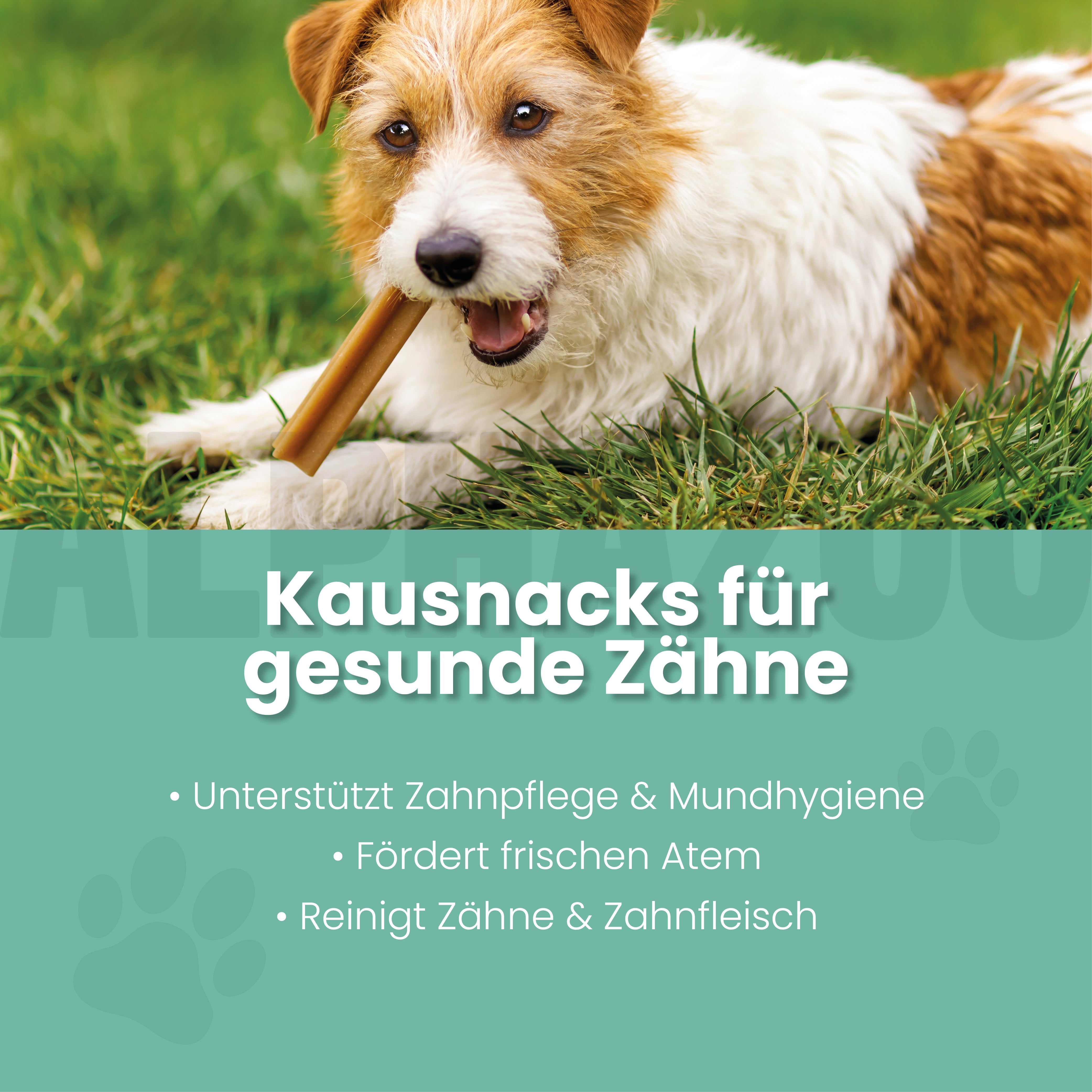 Zähne Zeigen Dentalstick Zahnpflege-Snack für Hunde - Zähne Zeigen | alphazoo