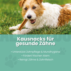 Zähne Zeigen Dentalstick