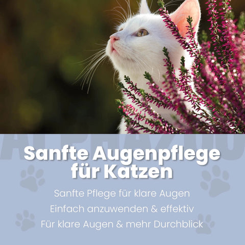 Durchblick Augenpflege für Katzen 100 ml
