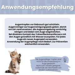 Durchblick Augenpflege für Katzen
