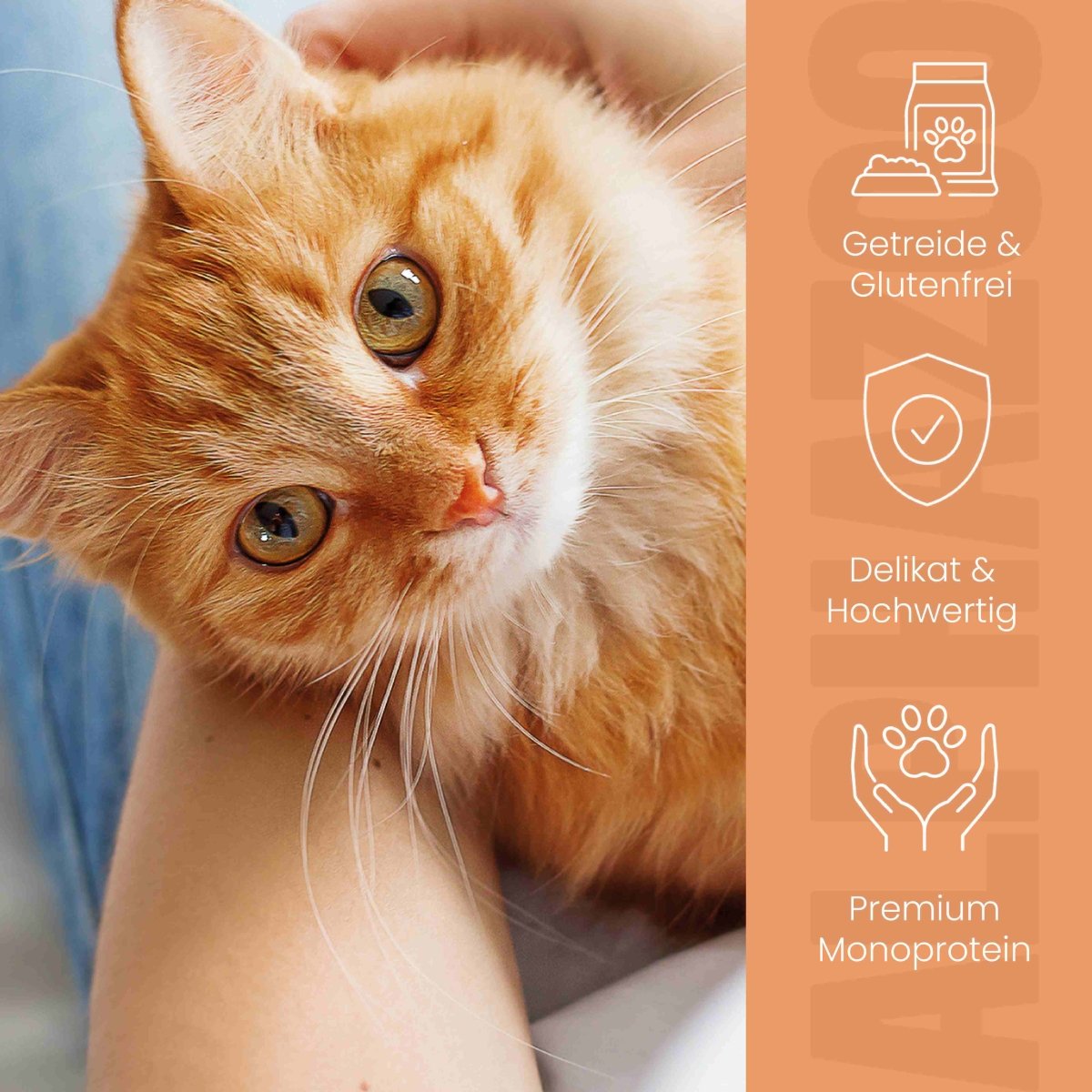 Duck + Chicken Wet Cat Food alphazoo wet food with duck and chicken - dual protein for cats