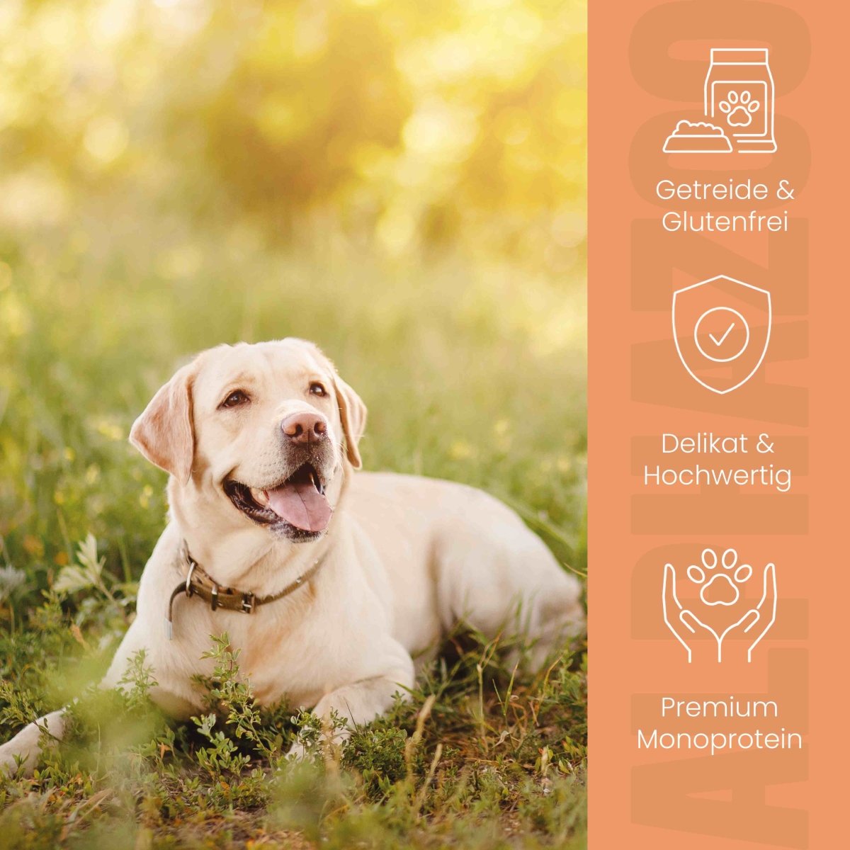 Duck + Chicken Wet Food for Puppies alphazoo wet food with duck and chicken - grain-free puppy food