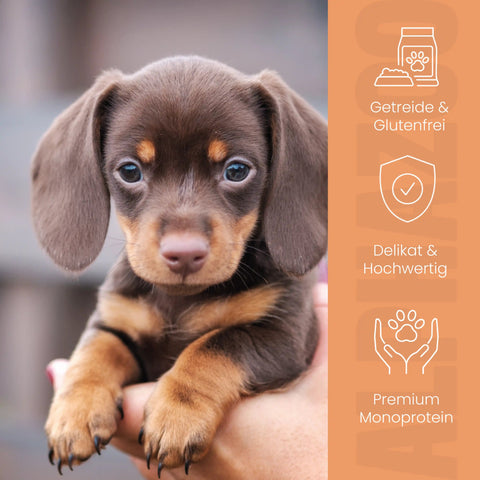 Ente + Huhn Nassfutter für Welpen alphazoo Nassfutter mit Ente + Huhn - Welpenfutter ohne Getreide